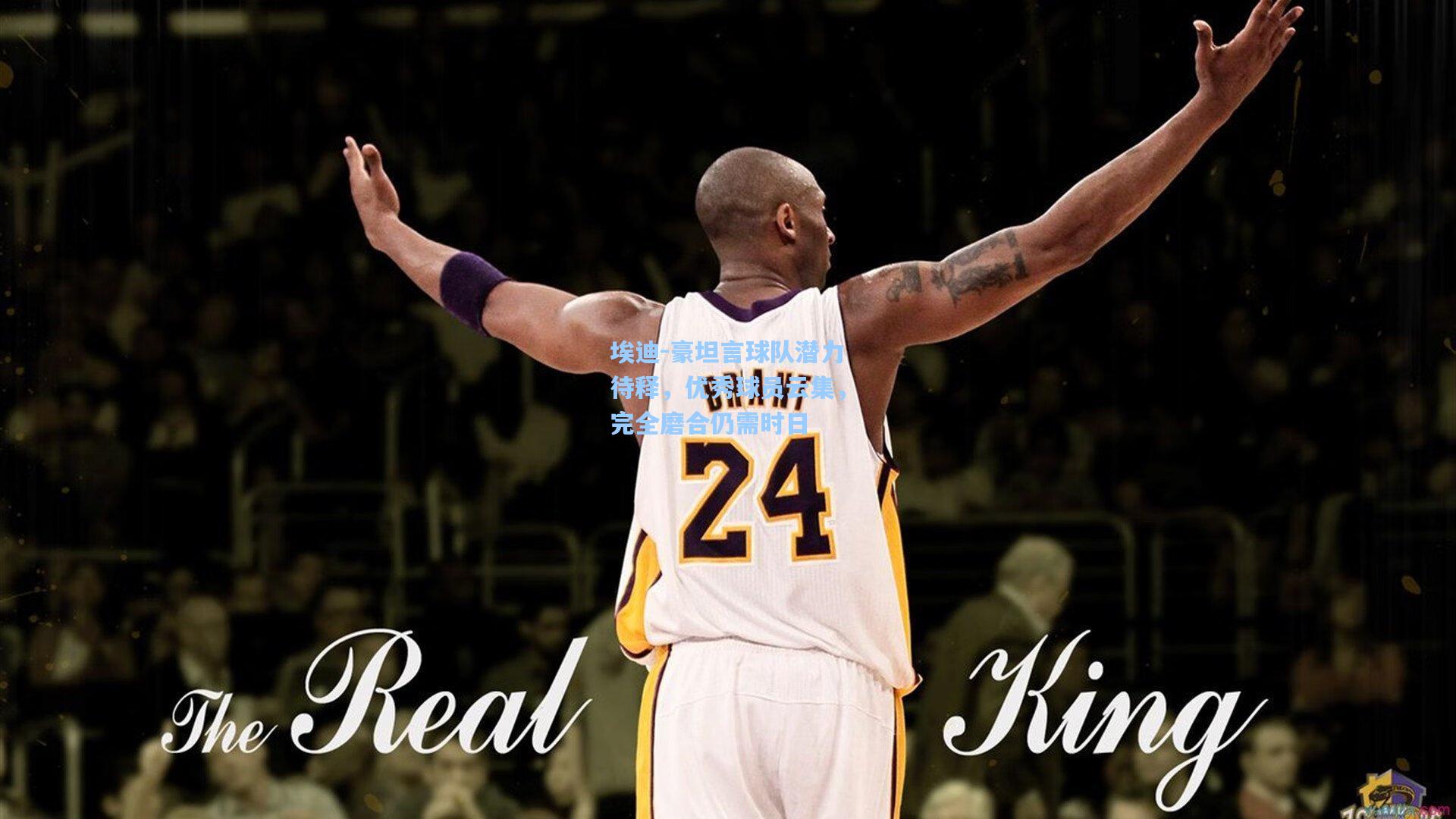 埃迪-豪坦言球队潜力待释,优秀球员云集,完全磨合仍需时日